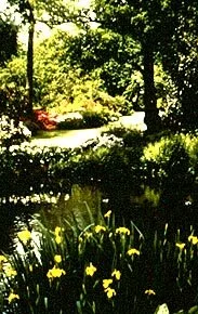 Savill Garden In Windsor Great Park, Windsor, Berkshire